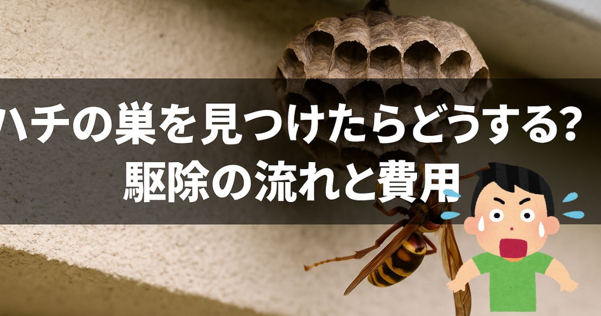 hatinosuwomituketaradousuru