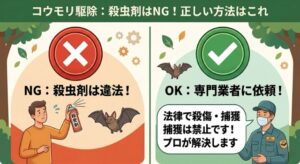 koumori-kujo-ranking