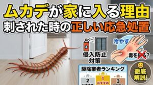 mukade-haru-kujo-taisaku