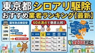 東京都のシロアリ駆除おすすめ業者ランキング