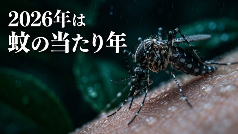 2026年は蚊の当たり年？梅雨に蚊が多い理由と今すぐできる対策5選【最新版】 | 害虫駆除ランキング！