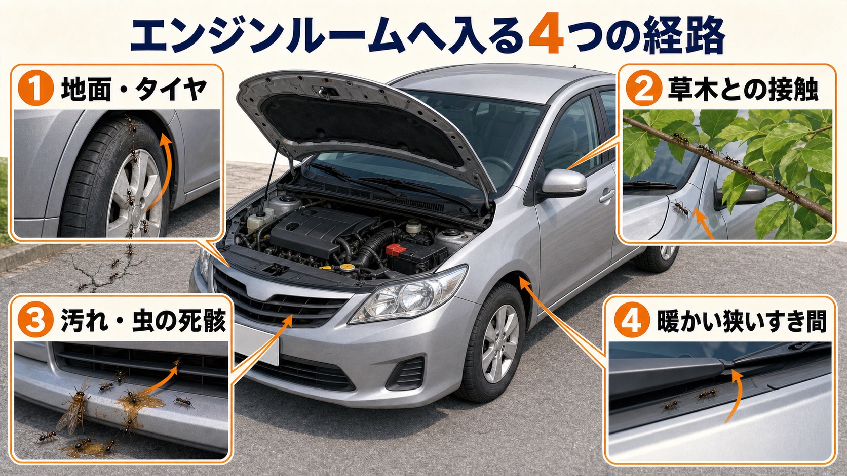 地面とタイヤ、草木、汚れ、暖かい隙間からエンジンルームへアリが入る4つの経路