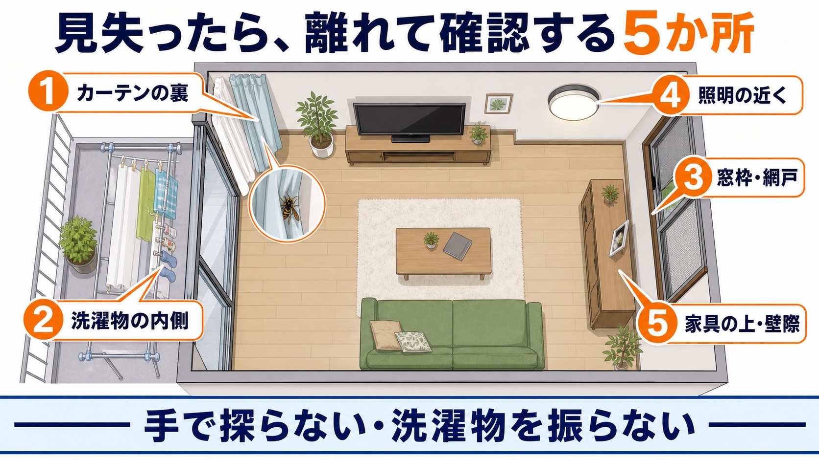 室内でハチを見失った時に離れて確認するカーテン、洗濯物、窓枠、照明、家具の5か所