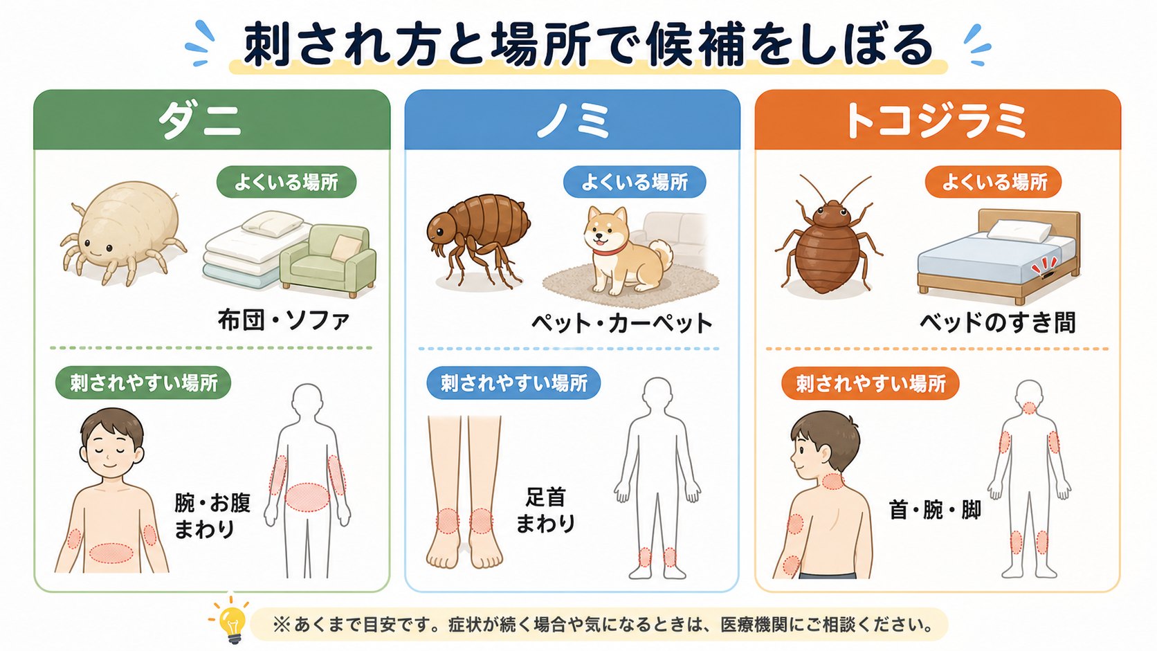 ダニ、ノミ、トコジラミのよくいる場所と刺されやすい場所を比較したイラスト