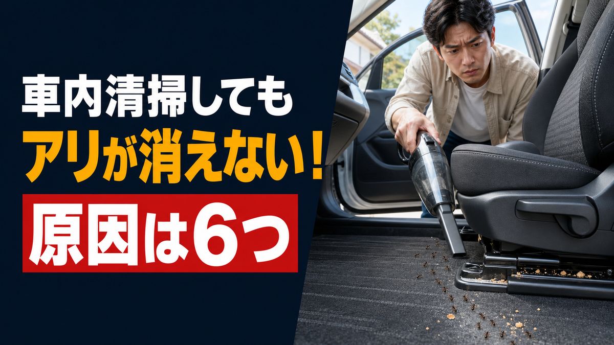 車内清掃してもアリが消えない6つの理由を解説する記事のアイキャッチ画像