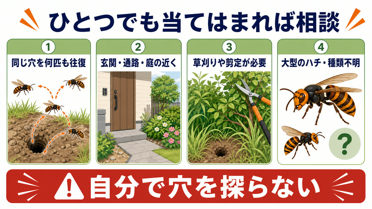 地面のスズメバチについて専門業者へ相談する4つの判断基準