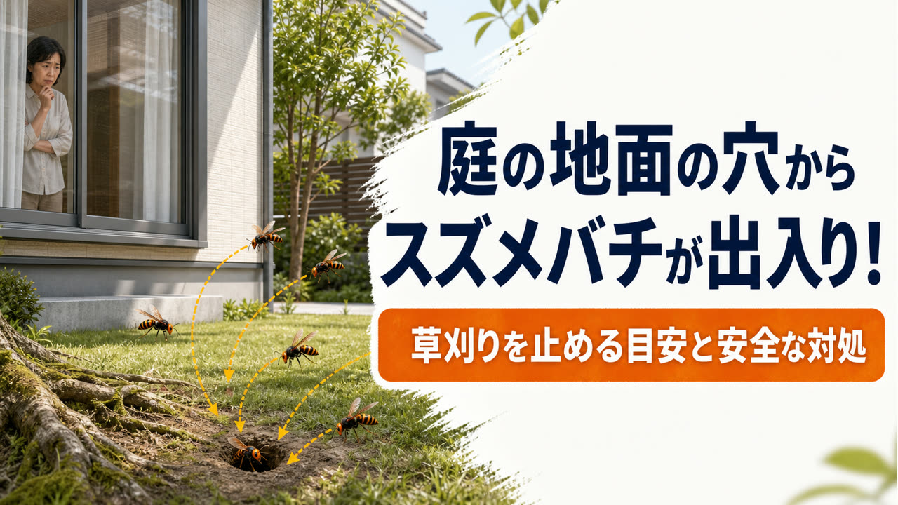 庭の地面の穴へスズメバチが出入りしている時のアイキャッチ画像