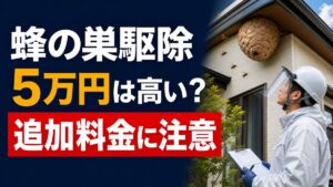 蜂の巣駆除で5万円と言われた時の追加料金と契約前チェックのアイキャッチ画像