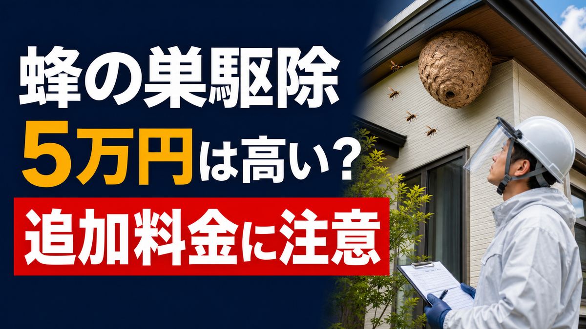 蜂の巣駆除で5万円と言われた時の追加料金と契約前チェックのアイキャッチ画像