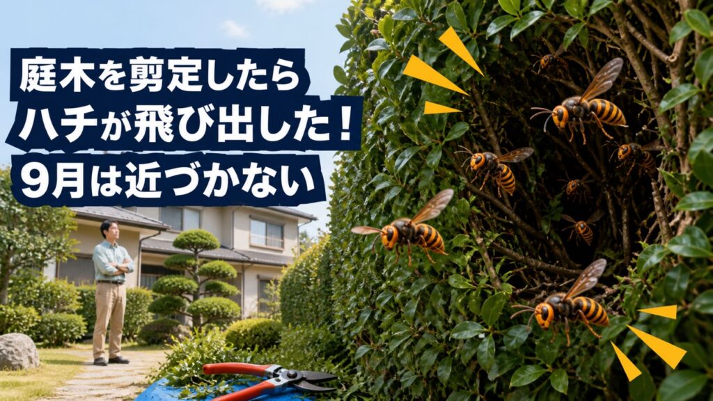 庭木を剪定したら生垣から複数のハチが飛び出し9月は近づかないよう注意を促すアイキャッチ