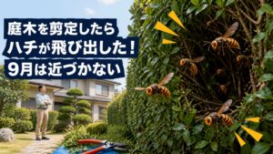 庭木を剪定したら生垣から複数のハチが飛び出し9月は近づかないよう注意を促すアイキャッチ