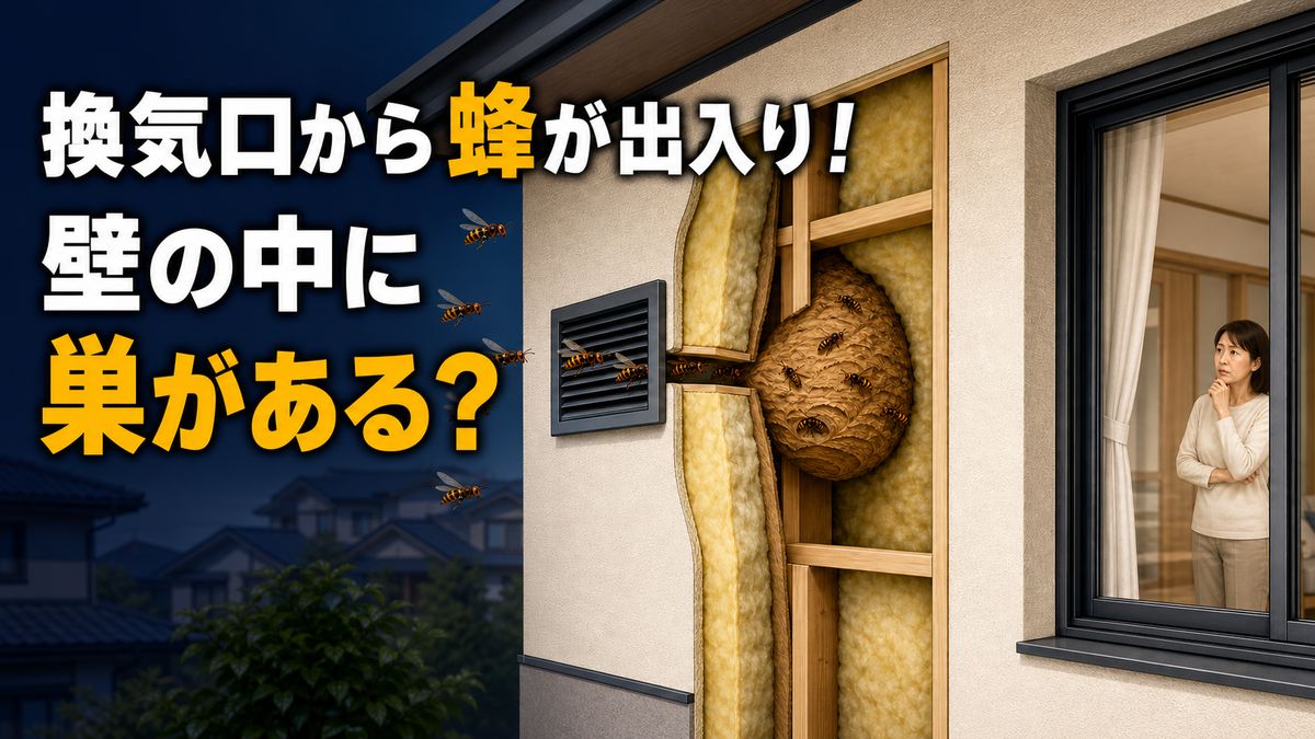 換気口から蜂が出入りし壁の中に巣があるか確認する記事のアイキャッチ画像