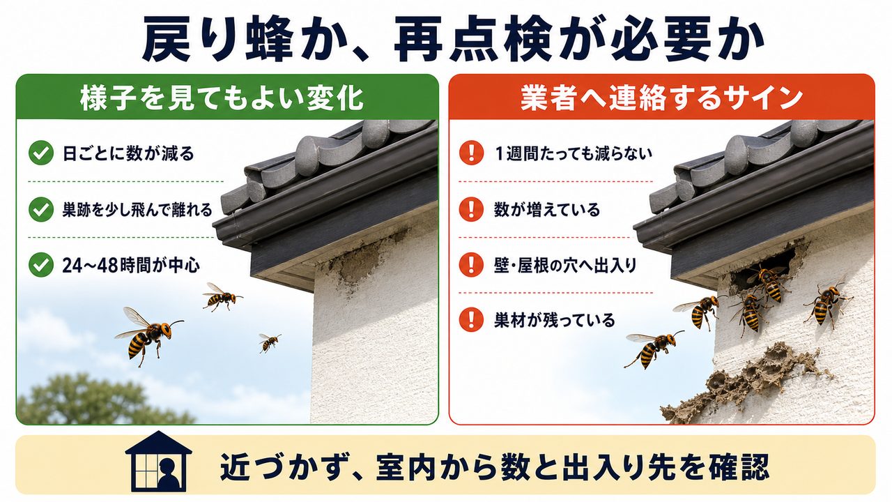 蜂の巣駆除後に様子を見られる変化と再点検が必要なサイン
