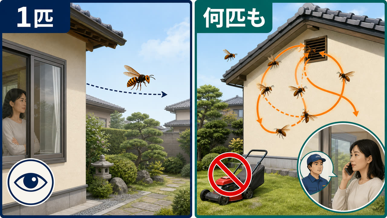 スズメバチを1匹見ただけの場合と複数が同じ換気口を往復する場合の判断を示す図解