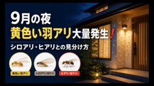 9月の夜に玄関へ黄色い羽アリが大量発生した時の見分け方